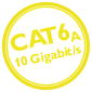 CAT6A (10 Гбит/с)