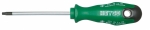 HE-04515001080 TORX-SCHR.-DR. CV 4515 T10 HEYCO