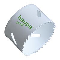 231803 Haupa